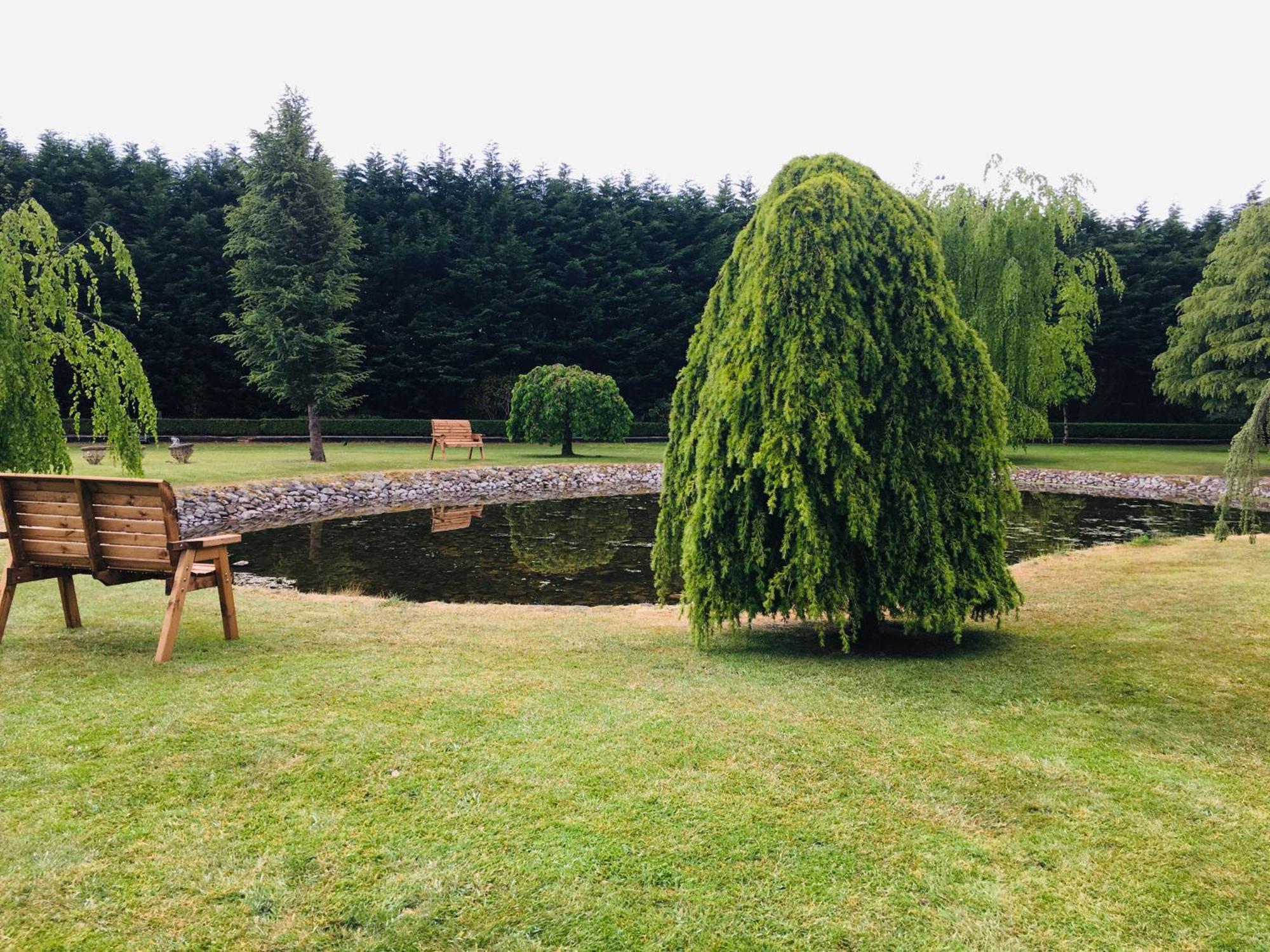 Castledale Bed & Breakfast Sligo Exterior foto